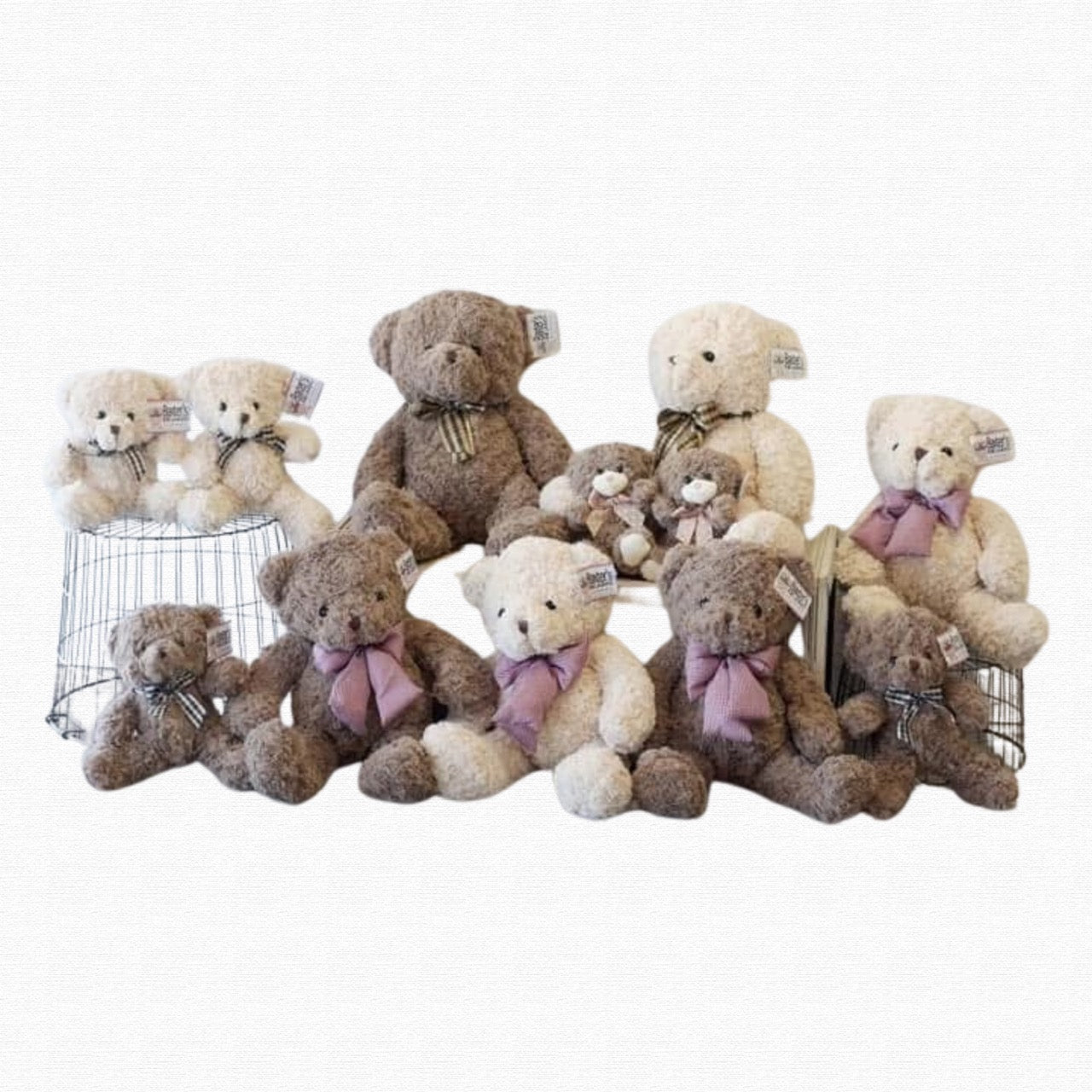 Classic plush teddy bear - Gift Collection by Historic Dade City Florist